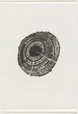 Artist: b'Payne, Patsy.' | Title: b'The contents of my world' | Date: 1992 | Technique: b'wood-engraving, printed in black ink, from one block'