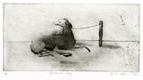 Artist: b'McKenna, Noel.' | Title: b'Tethered dog' | Date: 1991 | Technique: b'etching and aquatint printed in black ink, from one plate' | Copyright: b'\xc2\xa9 Noel McKenna'