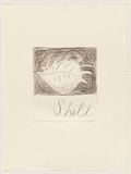 Title: Shell 2 | Date: 1981 | Technique: drypoint, printed in black ink, from one perspex plate