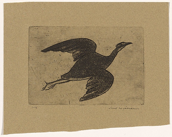 Artist: b'WILLIAMS, Fred' | Title: b'Night heron' | Date: 1962 | Technique: b'etching, aquatint and engraving, printed in black ink, from one copper plate' | Copyright: b'\xc2\xa9 Fred Williams Estate'