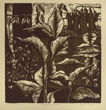 Artist: Hormann, Margaret. | Title: Blackwood house I | Date: 1986 | Technique: linocut, printed in green ink, from two blocks