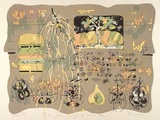 Artist: Wolseley, John. | Title: The honey of the Hakea tree | Date: 1990 | Technique: lithograph, printed in colour, from eight stones | Copyright: © John Wolseley. Licensed by VISCOPY, Australia