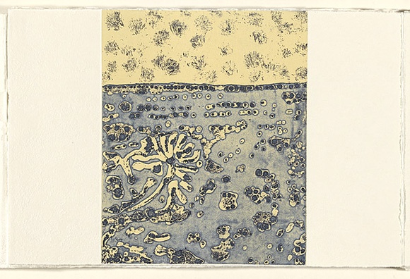 Title: b'Birth trees' | Date: 2007 | Technique: b'etching, open-bite, aquatint and relief, printed in colour, from one plate and one block'