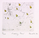 Artist: b'Fransella, Graham.' | Title: b'Floating pears.' | Date: 1980 | Technique: b'etching, printed in black ink, from one plate; hand-coloured' | Copyright: b'Courtesy of the artist'