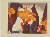 Artist: GRIFFIN, Murray | Title: Cannas. | Date: 1935 | Technique: linocut, printed in colour, from multiple blocks