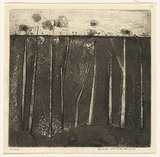 Artist: WILLIAMS, Fred | Title: Gum trees at Colo Vale | Date: 1958 | Technique: etching, aquatint, engraving and drypoint, printed in black ink, from one copper plate | Copyright: © Fred Williams Estate