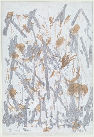 Artist: b'MEYER, Bill' | Title: b'Notational forest' | Date: 1988 | Technique: b'screenprint, printed in three colours, from three stencils' | Copyright: b'\xc2\xa9 Bill Meyer'