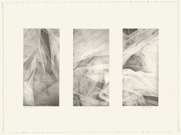 Artist: b'Pilgrim, Catherine.' | Title: b'not titled [three fabric details]' | Date: 2001 October | Technique: b'lithograph, printed in black ink, from one stone'