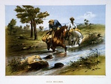 Title: Bush mailman | Date: 1865 | Technique: lithograph, printed in colour, from multiple stones