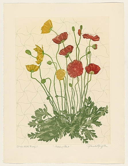 Artist: b'GRIFFITH, Pamela' | Title: b'Poppy Plant' | Date: 1988 | Technique: b'hardground-etching and aquatint, printed in black ink, from one copper plate; hand-coloured' | Copyright: b'\xc2\xa9 Pamela Griffith'