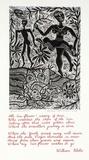 Artist: HANRAHAN, Barbara | Title: Ah Sun-flower! | Date: 1982 | Technique: wood-engraving, printed in black ink, from one block; screenprint, printed in red ink, from one stencil