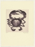 Artist: b'Law, Roger.' | Title: b'Not titled [small crab].' | Date: 2002 | Technique: b'aquatint, printed in dark purple ink, from one plate'