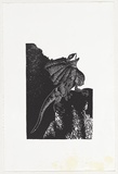 Artist: Thorpe, Lesbia. | Title: not titled (lizard) | Technique: linocut, printed in black ink, from one block