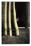 Artist: b'BALDESSIN, George' | Title: b'Curtain.' | Date: 1970 | Technique: b'etching and aquatint, printed in black ink, from two plates; stencil, printed in green ink, from one stencil.'