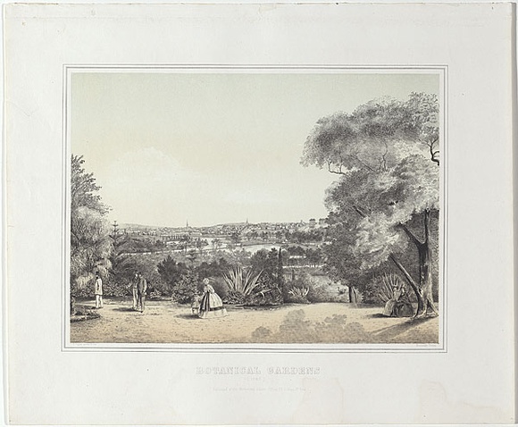 Artist: b'Cogne, Francois.' | Title: b'Botanical gardens.' | Date: 1863-64 | Technique: b'lithograph, printed in colour, from two stones'