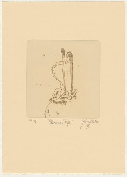 Artist: Olsen, John. | Title: Pelicans, Lake Eyre | Date: 1976 | Technique: etching, printed in brown ink with plate-tone, from one plate | Copyright: © John Olsen. Licensed by VISCOPY, Australia
