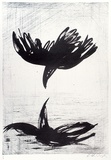 Artist: b'BOYD, Arthur' | Title: b'(Blackbird flying over water).' | Date: (1978) | Technique: b'lithograph, printed in colour, from multiple stones [or plates]'