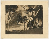 Artist: b'LONG, Sydney' | Title: b'The lagoon' | Date: 1928 | Technique: b'aquatint and drypoint, printed in dark brown ink with plate-tone, from one copper plate' | Copyright: b'Reproduced with the kind permission of the Ophthalmic Research Institute of Australia'