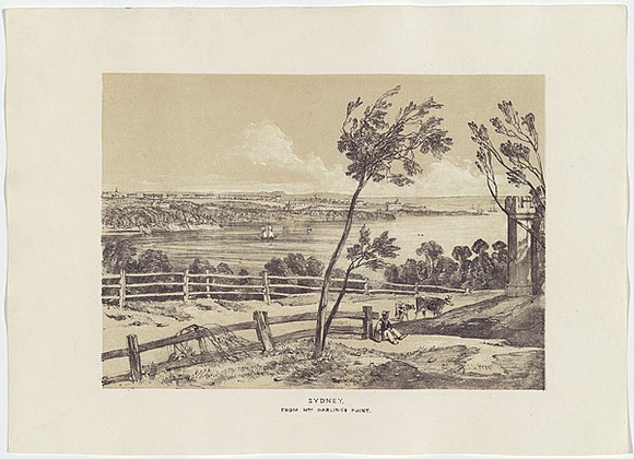 Artist: b'PROUT, John Skinner' | Title: bSydney, from Mrs Darling's Point. | Date: 1842 | Technique: b'lithograph, printed in colour, from two stones (black and brown tint stone)'