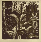 Artist: b'Hormann, Margaret.' | Title: b'Blackwood house I' | Date: 1986 | Technique: b'linocut, printed in green ink, from two blocks'