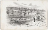 Artist: GILL, S.T. | Title: Govt. camp Castlemaine. | Date: 1855-56 | Technique: lithograph, printed in black ink, from one stone
