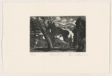 Artist: AMOR, Rick | Title: Garden. | Date: 1990 | Technique: etching, printed in black ink, from one plate