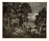 Artist: LINDSAY, Lionel | Title: Gums in moonlight | Date: 1911 | Technique: mezzotint and etching, printed in black ink, from one plate | Copyright: Courtesy of the National Library of Australia