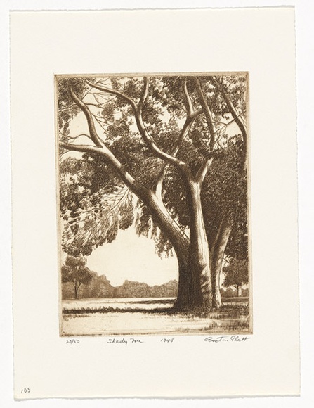 Artist: b'PLATT, Austin' | Title: b'Shady tree' | Date: 1945 | Technique: b'etching, printed in black ink, from one plate'