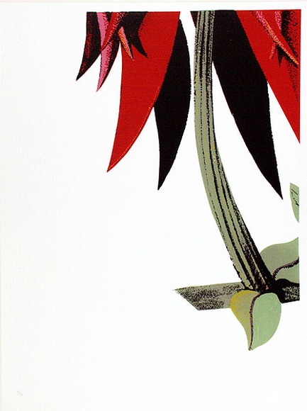 Artist: b'Newmarch, Ann.' | Title: b'Malu Karu (Sturt Desert Pea)' | Date: 1980 | Technique: b'screenprint, printed in colour, from multiple stencils'