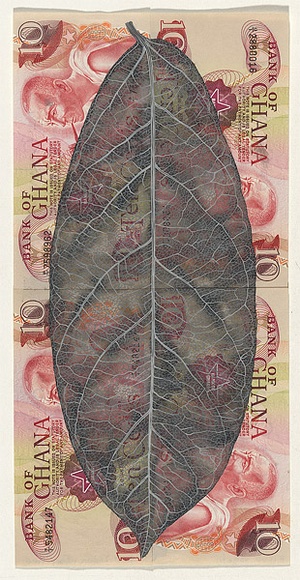 Artist: b'HALL, Fiona' | Title: b'Ficus vogelii - West African rubber tree (Ghanaian currency)' | Date: 2000 - 2002 | Technique: b'gouache' | Copyright: b'\xc2\xa9 Fiona Hall'