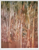 Artist: Nolan, Sidney. | Title: (Trees by a brown river). | Date: 1981 | Technique: offset-lithograph, printed in black ink