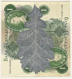 Artist: b'HALL, Fiona' | Title: b'Quercus robur - English oak (English currency)' | Date: 2000 - 2002 | Technique: b'gouache' | Copyright: b'\xc2\xa9 Fiona Hall'