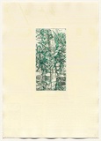 Artist: DUNN, Richard | Title: 100 Blossoms: Five prisons IV. | Date: 1988 | Technique: etching and lift-ground aquatint and screenprint