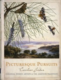 Picturesque pursuits: Colonial women artists & the amateur tradition.