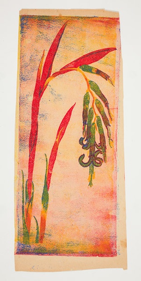 Artist: b'Sutherland, Jean.' | Title: b'Long thin flower'