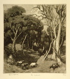 Artist: b'LINDSAY, Lionel' | Title: b'The waterhole, Cobar, N.S.W.' | Date: 1923 | Technique: b'aquatint and scraper, softground etching, printed in black ink, from one plate' | Copyright: b'Courtesy of the National Library of Australia'