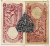 Artist: b'HALL, Fiona' | Title: b'Ficus triangularis (Nigerian currency)' | Date: 2000 - 2002 | Technique: b'gouache' | Copyright: b'\xc2\xa9 Fiona Hall'