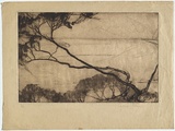 Artist: Coleman, Constance. | Title: (Tree and bay). | Date: (1938) | Technique: drypoint, printed in brown ink with plate-tone, from one plate