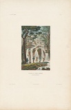 Artist: Chazal, Antoine. | Title: Cascade du port Praslin / Nouvellie-Irlande [Waterfall in New Ireland]. | Date: c.1828 | Technique: engraving, printed in black ink from one copper plate; hand coloured