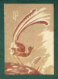 Artist: Palmer, Ethleen. | Title: (Lyrebird) | Date: c.1955 | Technique: screenprint, printed in colour, from multiple stencils