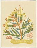 Artist: OGILVIE, Helen | Title: Golden Heath