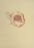 Artist: b'Gooch, Malcolm.' | Title: b'David' | Date: 1989, 19 October | Technique: b'lithograph, printed in red ink, from one stone'