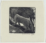Artist: OGILVIE, Helen | Title: Cat in the tree. | Date: 1942 | Technique: wood-engraving, printed in black ink, from one block