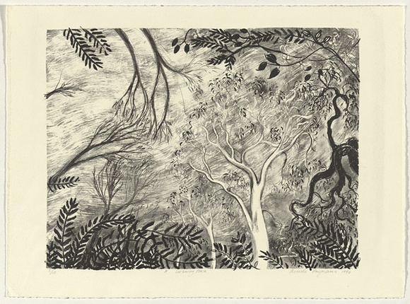 Artist: b'Paijmans, Anneke.' | Title: b'A growing place' | Date: 1990 | Technique: b'lithograph, printed in black ink, from two stones'