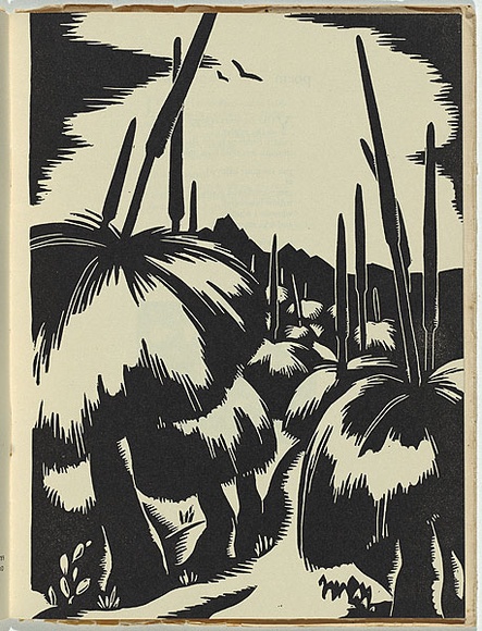 Artist: b'Wood, Rex.' | Title: b'Blackboys.' | Date: November 1935 | Technique: b'linocut, printed in black ink, from one block'