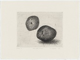 Artist: Cooper, Simon. | Title: Still life - (spuds) | Date: 1993 | Technique: etching, printed in black ink, from one plate