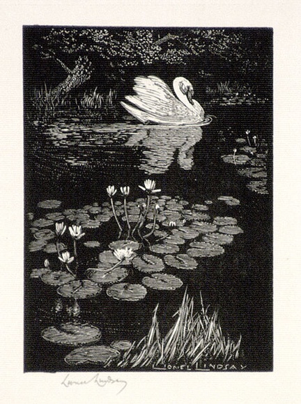 Artist: b'LINDSAY, Lionel' | Title: b'The swan' | Date: 1924 | Technique: b'wood-engraving, printed in black ink, from one block' | Copyright: b'Courtesy of the National Library of Australia'