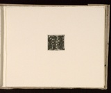 Artist: b'Mann, Gillian.' | Title: b'Text.' | Date: 1981 | Technique: b'etching, printed in black ink, from one plate'