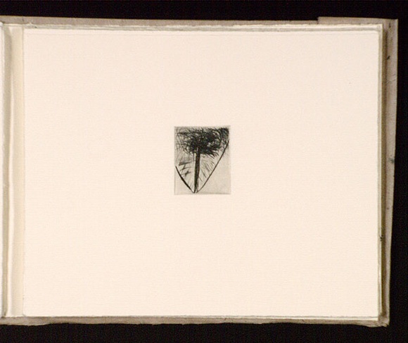 Artist: b'Mann, Gillian.' | Title: b'(Triangle within a rectangle).' | Date: 1981 | Technique: b'etching, printed in black ink, from one plate'