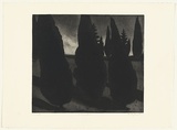 Artist: b'Johnstone, Ruth.' | Title: b'Landscape garden' | Date: 1985 | Technique: b'etching, printed in black ink, from one plate'